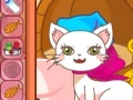                                                                     Cathy The Pretty Cat קחשמ
