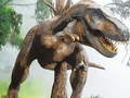                                                                       Tyrannosaurus Rex Carnivore Jigsaw ליּפש