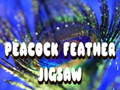                                                                       Peacock Feather Jigsaw ליּפש