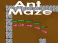                                                                     Ant maze קחשמ