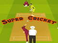                                                                     Super Cricket  קחשמ