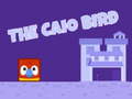                                                                     The Caio Bird קחשמ