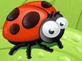                                                                     Ladybug Slide קחשמ