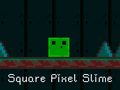                                                                     Square Pixel Slime קחשמ