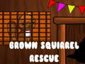                                                                     Brown Squirrel Rescue קחשמ