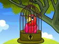                                                                     Red Parrot Rescue קחשמ