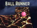                                                                     Ball runner קחשמ