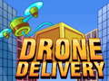                                                                       Drone Delivery ליּפש