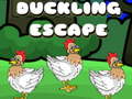                                                                       Duckling Escape ליּפש