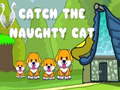                                                                     Catch the naughty cat קחשמ