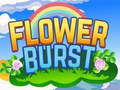                                                                       Flower Burst ליּפש