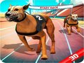                                                                     Crazy Dog Race קחשמ