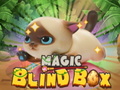                                                                     Magic Blind Box קחשמ