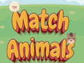                                                                     Match Animals קחשמ