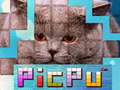                                                                     PicPu Cat  קחשמ