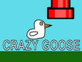                                                                     Crazy Goose קחשמ