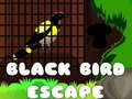                                                                     Black Bird Escape קחשמ