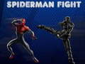                                                                       Spiderman Fight ליּפש