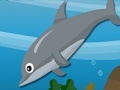                                                                     Dolphin Dive קחשמ