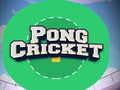                                                                     Pong Cricket קחשמ