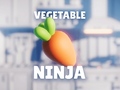                                                                     Vegetable Ninja קחשמ