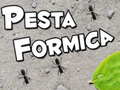                                                                     Pesta Formica קחשמ