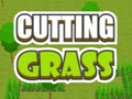                                                                     Cutting Grass קחשמ