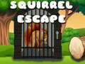                                                                     Squirrel Escape קחשמ