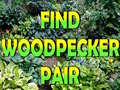                                                                       Find Woodpecker Pair  ליּפש