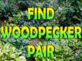                                                                     Find Woodpecker Pair  קחשמ