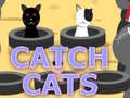                                                                     Catch Cats קחשמ