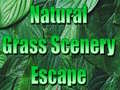                                                                     Natural Grass Scenery Escape קחשמ