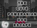                                                                    Cute Pomeranian Dog Escape קחשמ