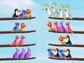                                                                     Bird Sort Puzzle קחשמ