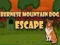                                                                       Bernese Mountain Dog Escape ליּפש