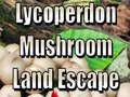                                                                     Lycoperdon Mushroom Land Escape קחשמ