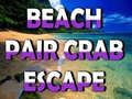                                                                     Beach Crab Pair Escape  קחשמ