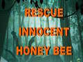                                                                     Rescue Innocent Honey Bee  קחשמ