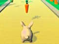                                                                     Rabbit Runner קחשמ
