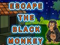                                                                     Escape The Black Monkey קחשמ