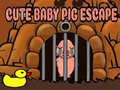                                                                     Cute baby Pig escape קחשמ