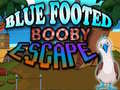                                                                     Blue Footed Booby Escape קחשמ