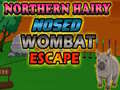                                                                     Northern hairy nosed wombat Escape קחשמ