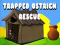                                                                       Trapped Ostrich Rescue ליּפש