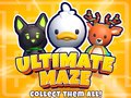                                                                     Ultimate Maze! Collect Them All! קחשמ