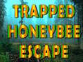                                                                     Trapped Honeybee Escape קחשמ