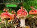                                                                       Mushroom Forest Adventure ליּפש