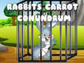                                                                     Rabbits Carrot Conundrum קחשמ