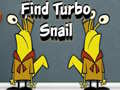                                                                     Find Turbo Snail קחשמ