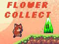                                                                       Flower Collect ליּפש